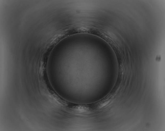 X0000091560223200708241822