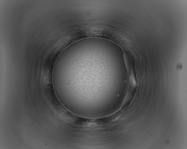 X0000091560224200708241822