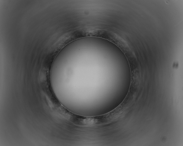 X0000091560225200708241822