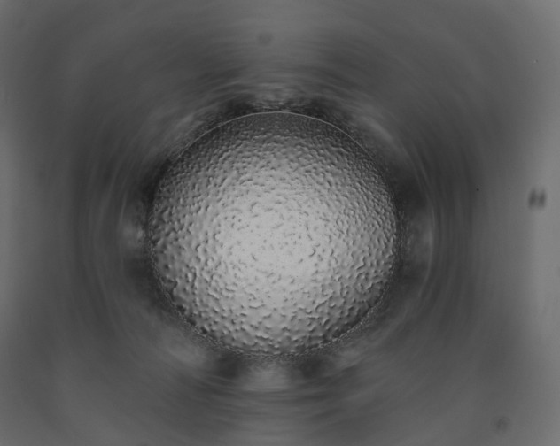 X0000091560226200708241822