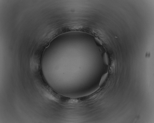 X0000091560227200708241822