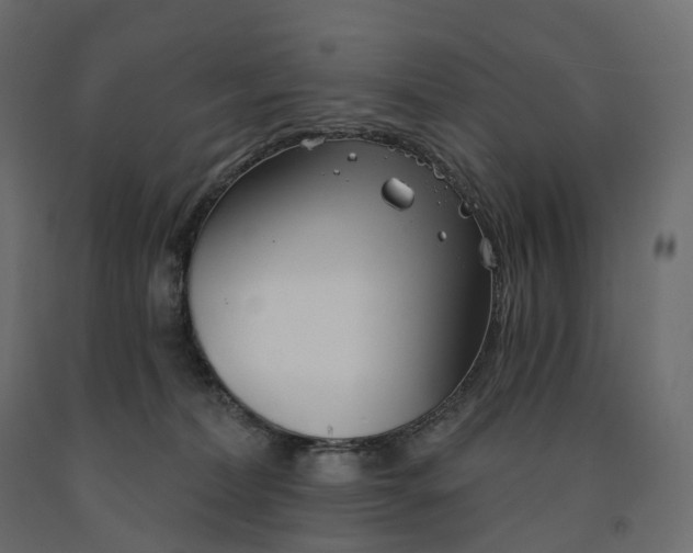 X0000091560228200708241822