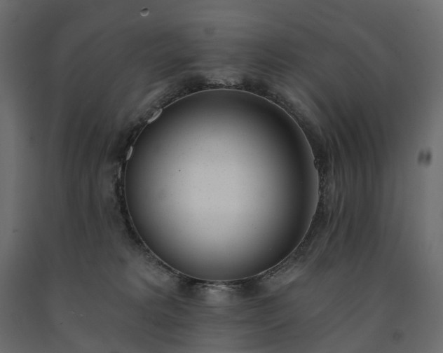 X0000091560229200708241822