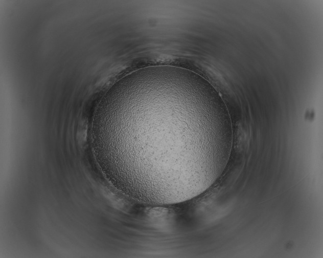 X0000091560230200708241822