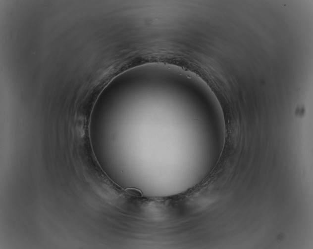 X0000091560232200708241822