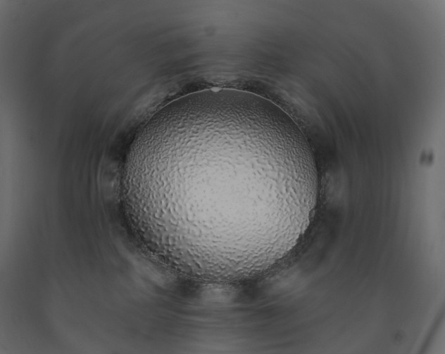 X0000091560234200708241822