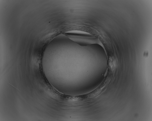 X0000091560235200708241822