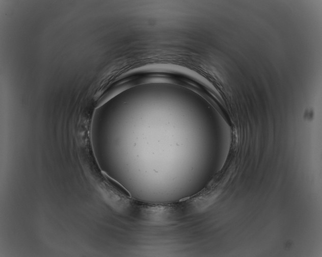 X0000091560237200708241822