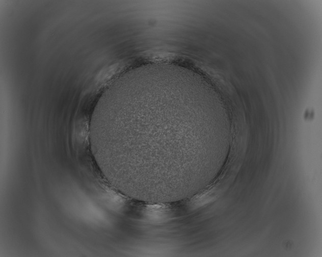 X0000091560240200708241822