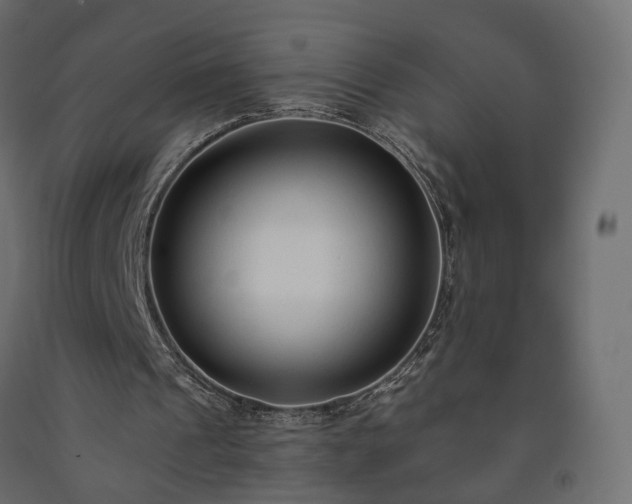 X0000091560241200708241822