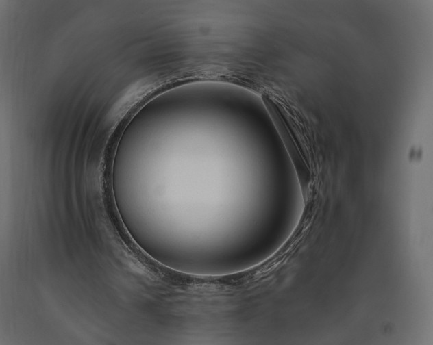 X0000091560242200708241822