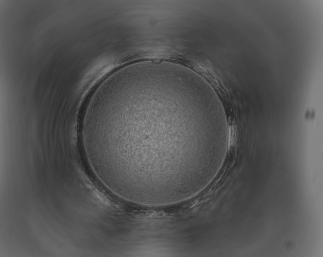 X0000091560243200708241822