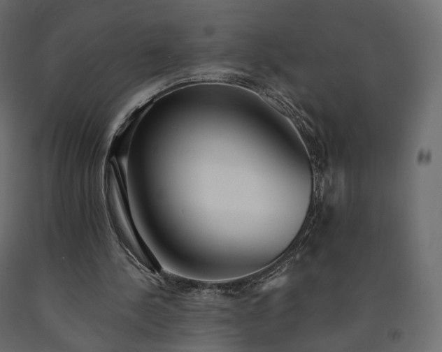 X0000091560244200708241822