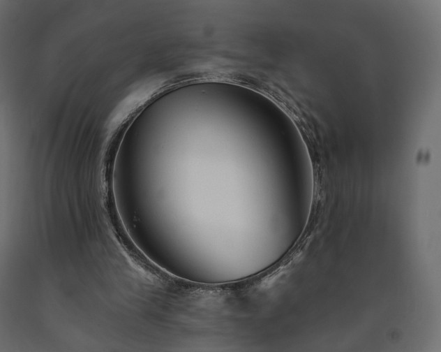 X0000091560245200708241822