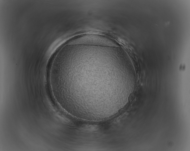 X0000091560247200708241822