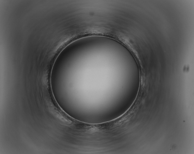 X0000091560249200708241822