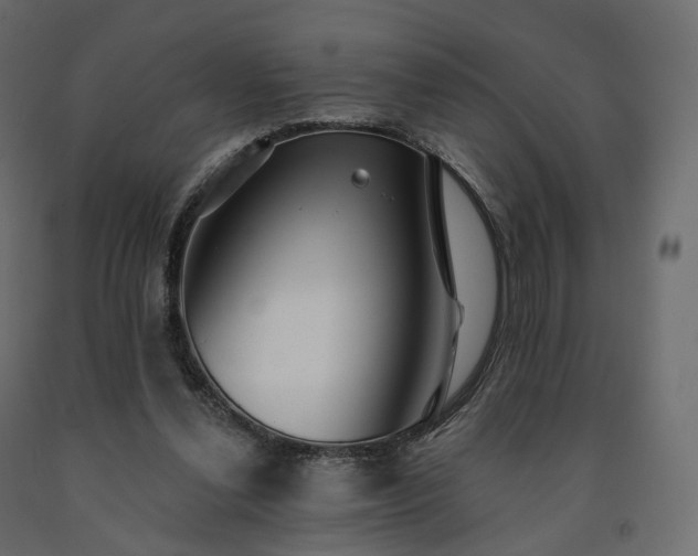 X0000091560252200708241822