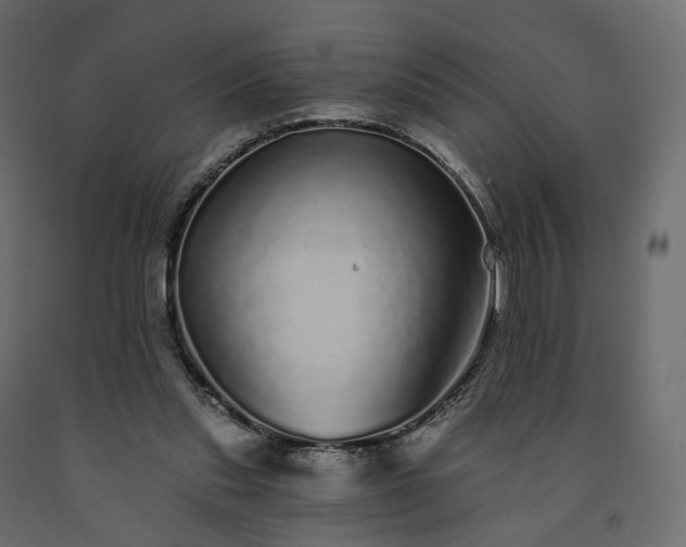 X0000091560253200708241822