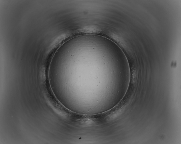 X0000091560254200708241822