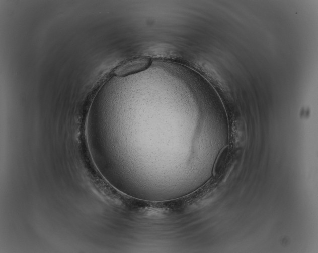 X0000091560255200708241822