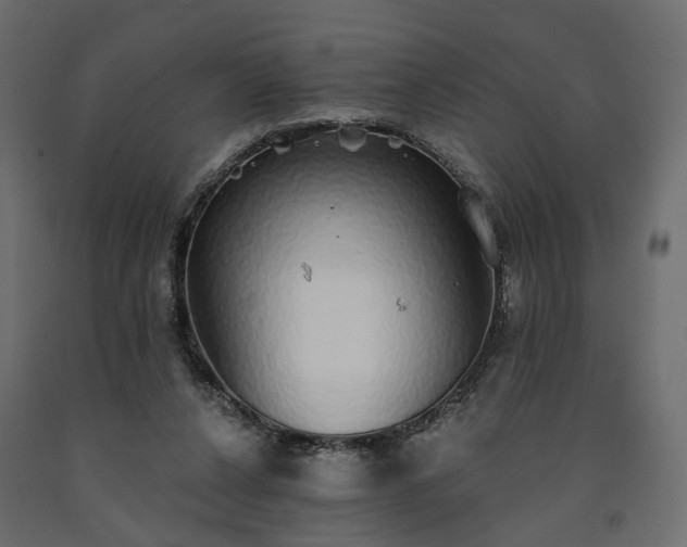 X0000091560256200708241822