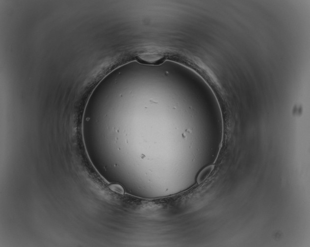 X0000091560257200708241822