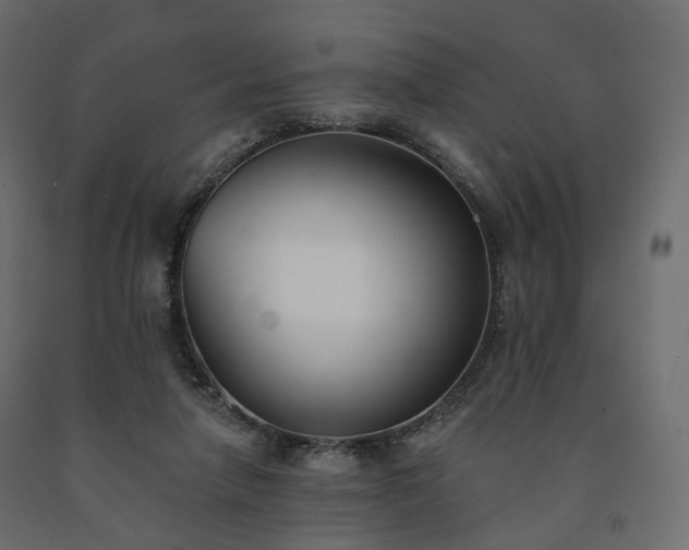 X0000091560258200708241822