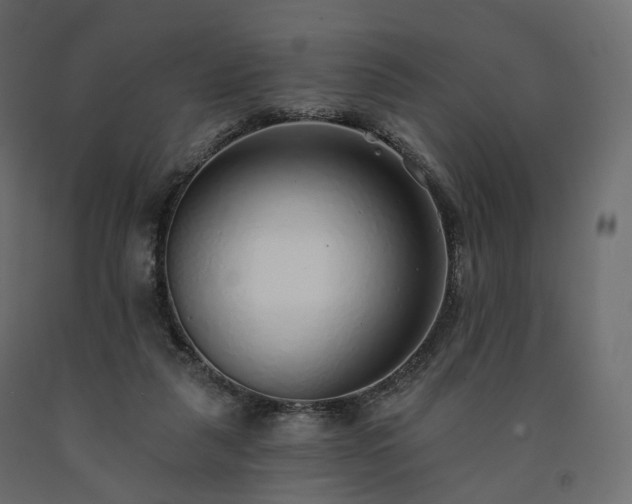 X0000091560259200708241822