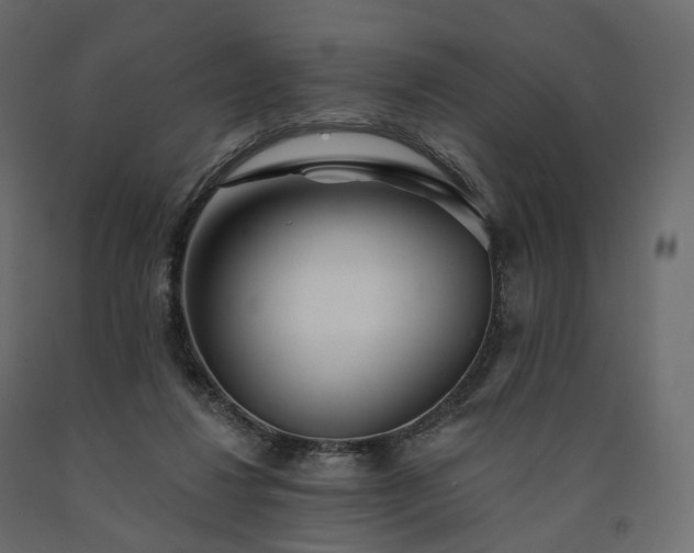 X0000091560260200708241822