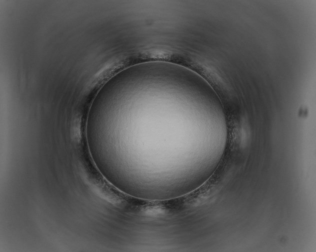 X0000091560262200708241822