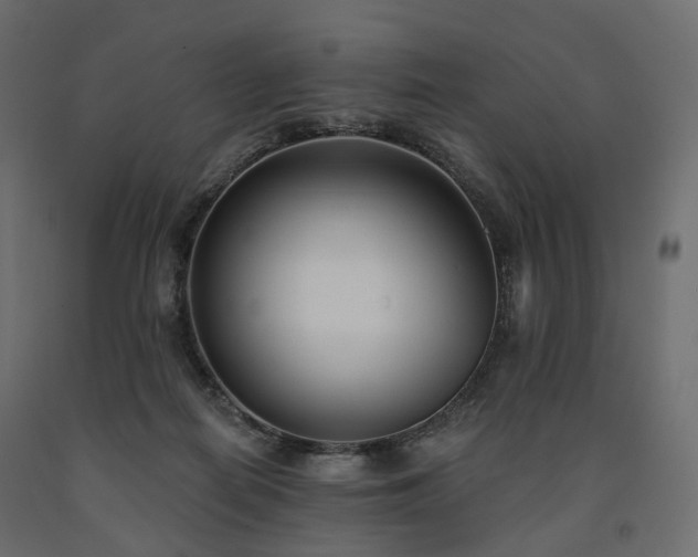 X0000091560266200708241822