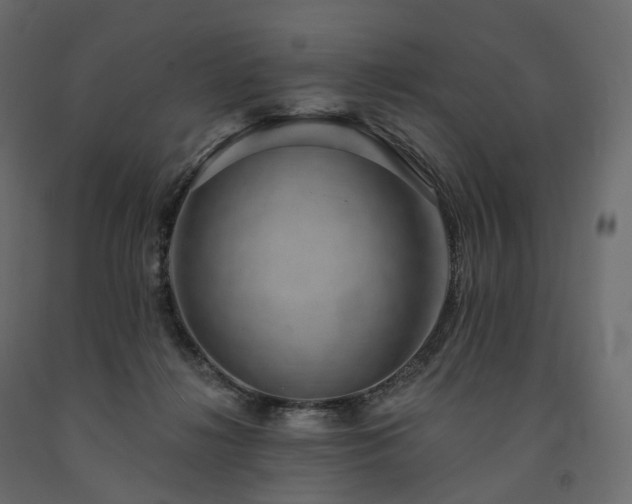 X0000091560268200708241822