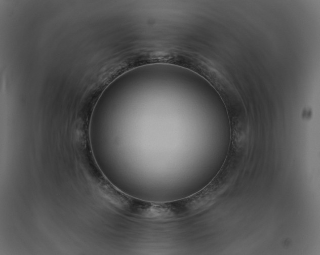 X0000091560270200708241822