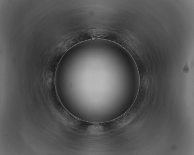 X0000091560271200708241822