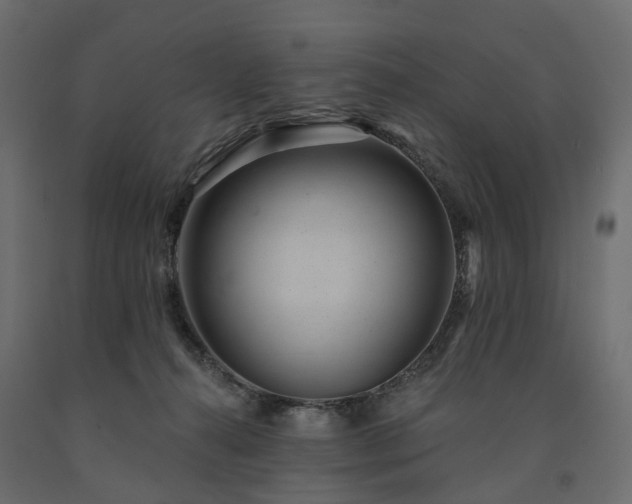 X0000091560272200708241822