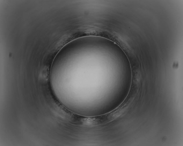 X0000091560273200708241822