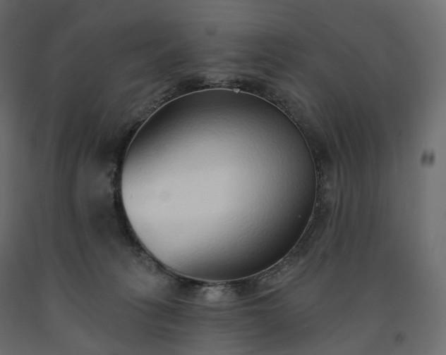 X0000091560275200708241822