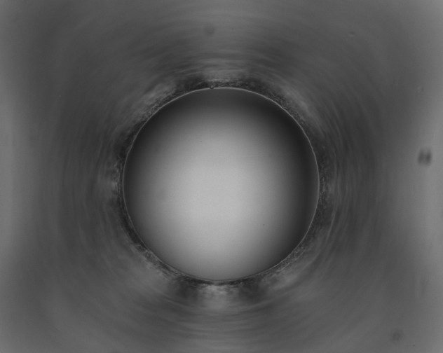 X0000091560277200708241822