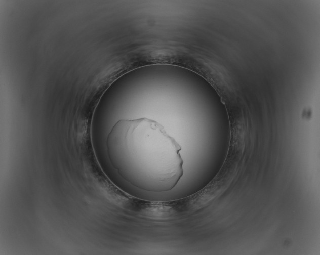 X0000091560278200708241822