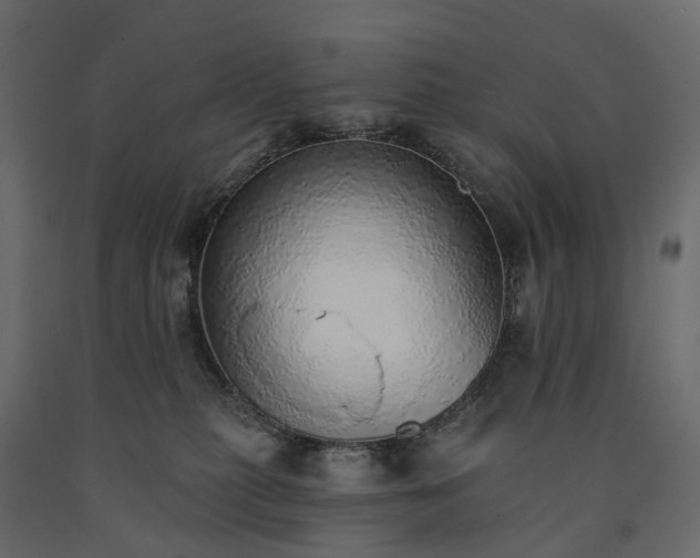 X0000091560279200708241822