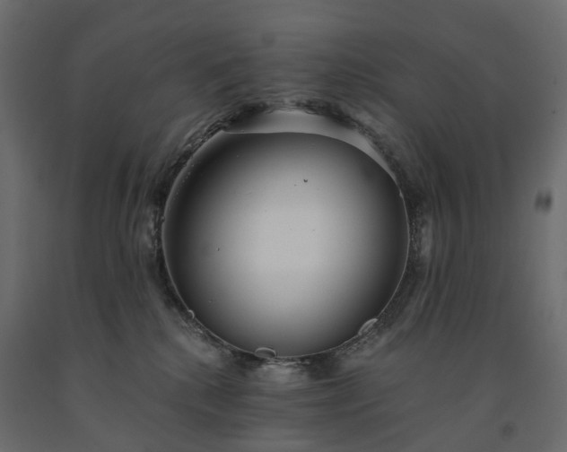 X0000091560280200708241822