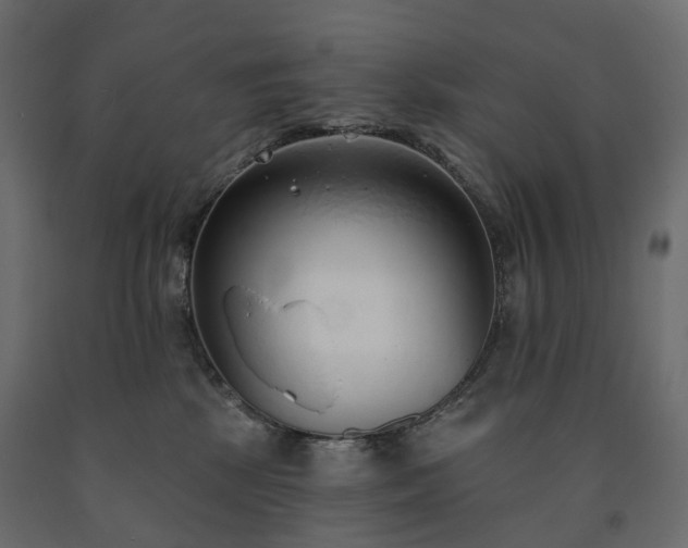 X0000091560281200708241822