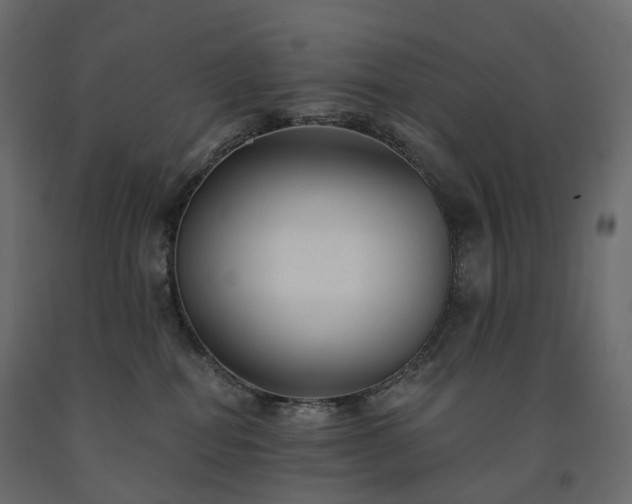 X0000091560282200708241822