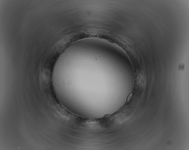 X0000091560283200708241822