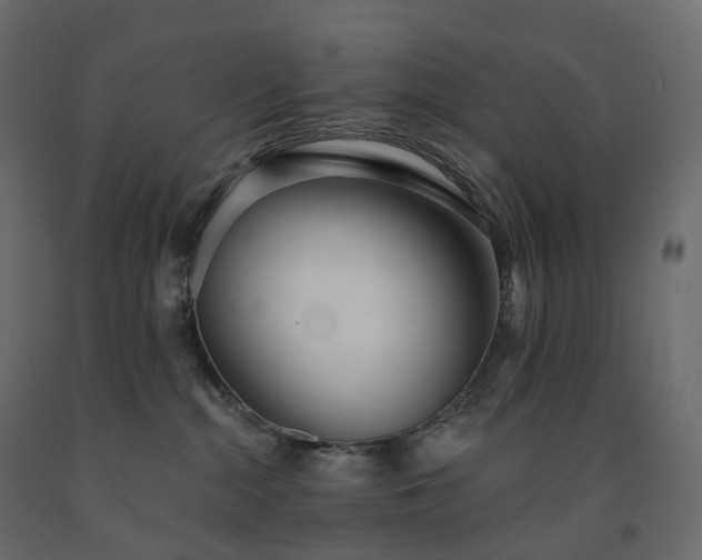 X0000091560284200708241822