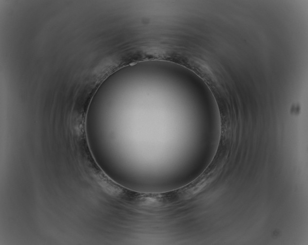 X0000091560285200708241822