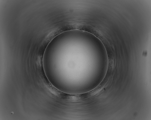 X0000091560286200708241822