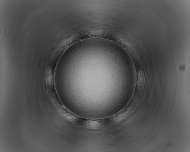 X0000091560287200708241822