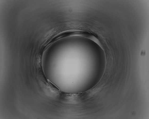 X0000091560288200708241822