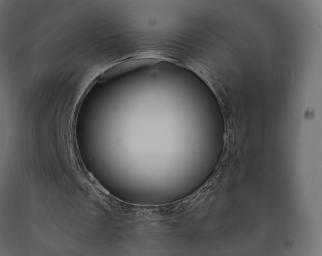 X0000091560289200708241822